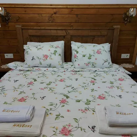 плевнята Chalet *