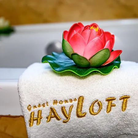 плевнята バンスコ