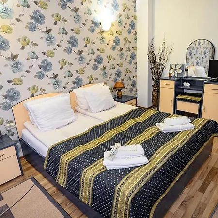 плевнята バンスコ