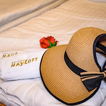 плевнята * バンスコ