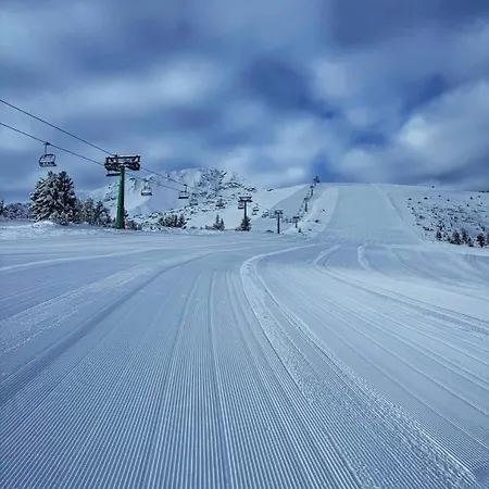 плевнята 班斯科