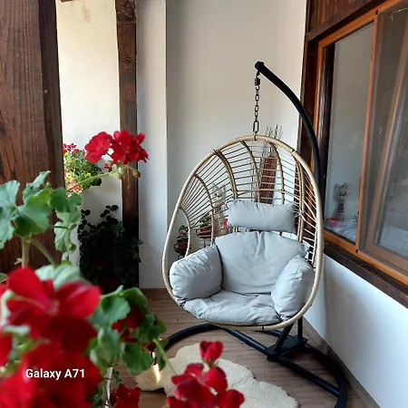 Chalet плевнята