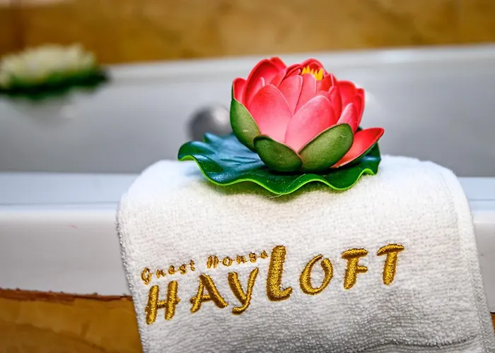 плевнята بانسكو