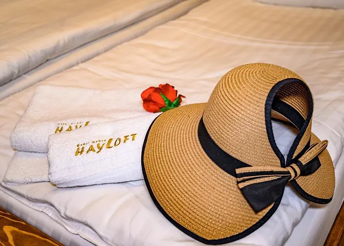 плевнята * بانسكو