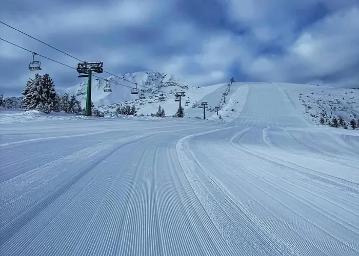 плевнята بانسكو